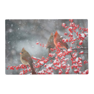 Northern Cardinals Marion, Illinois Placemat