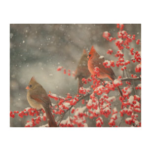 Northern Cardinals Marion, Illinois Wood Wall Art