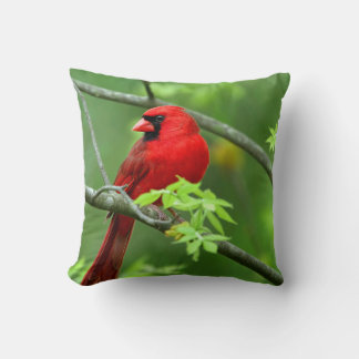 Northern cardinals on the tree throw pillow
