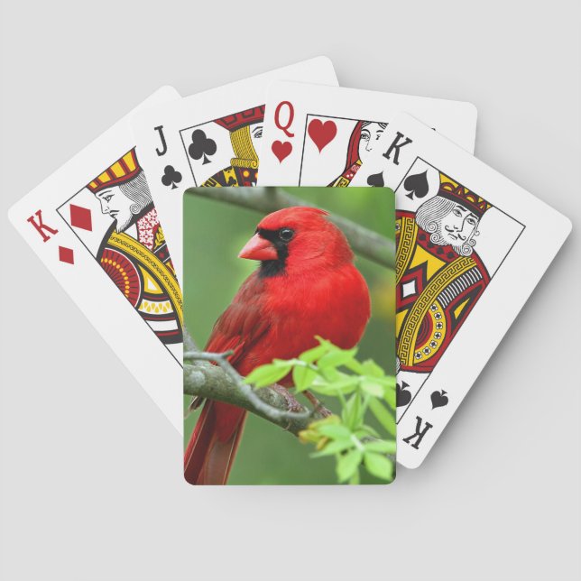 Northern cardinals poker cards (Back)