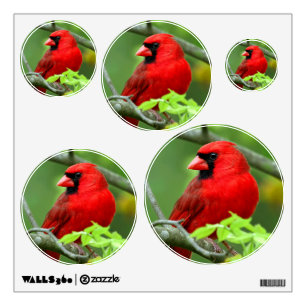 Northern cardinals wall sticker