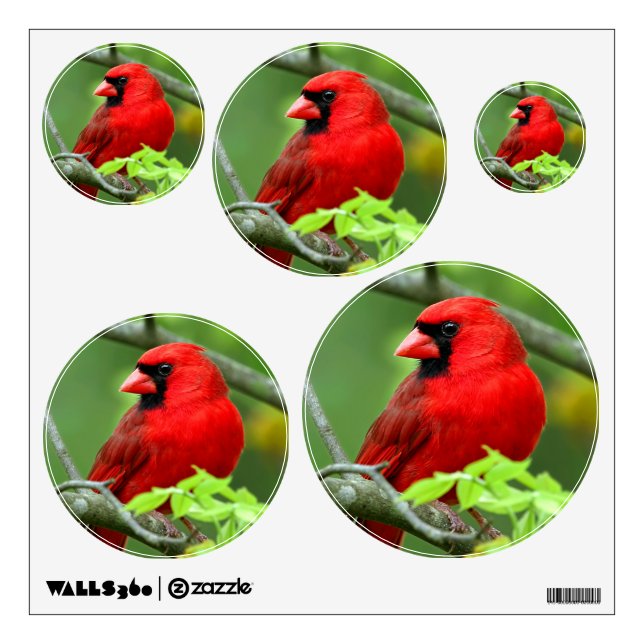 Northern cardinals wall sticker (Front)