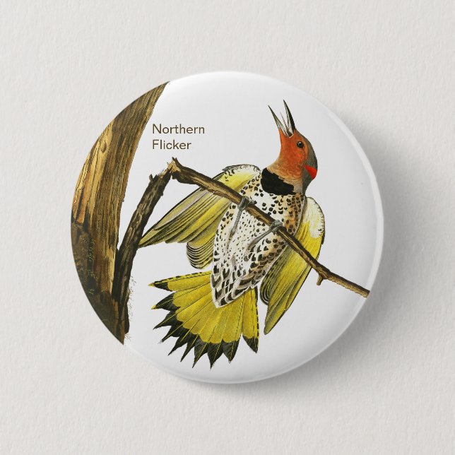 Northern Flicker, Audubon, Birdwatcher Accessory, Button (Front)