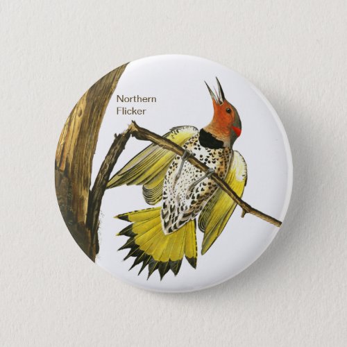 Northern Flicker Audubon Birdwatcher Accessory Button