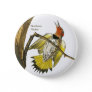 Northern Flicker, Audubon, Birdwatcher Accessory, Button