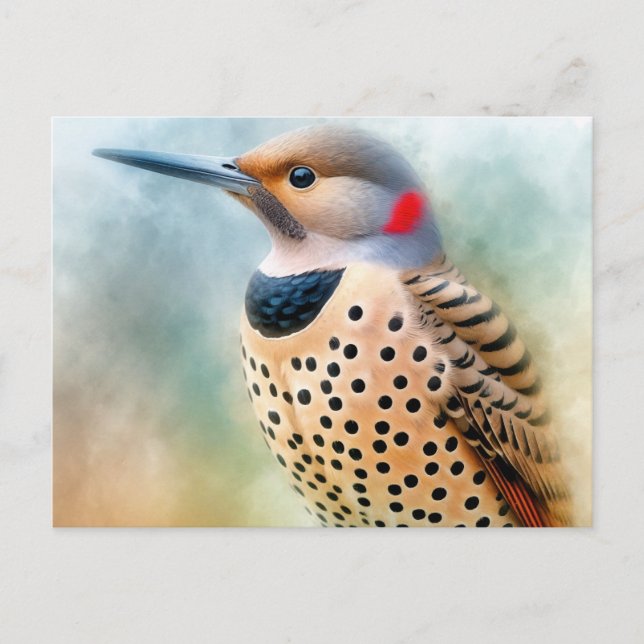 Northern Flicker Bird Art Postcard (Front)