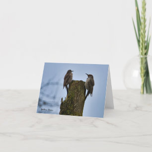 Northern Flicker Bird Card