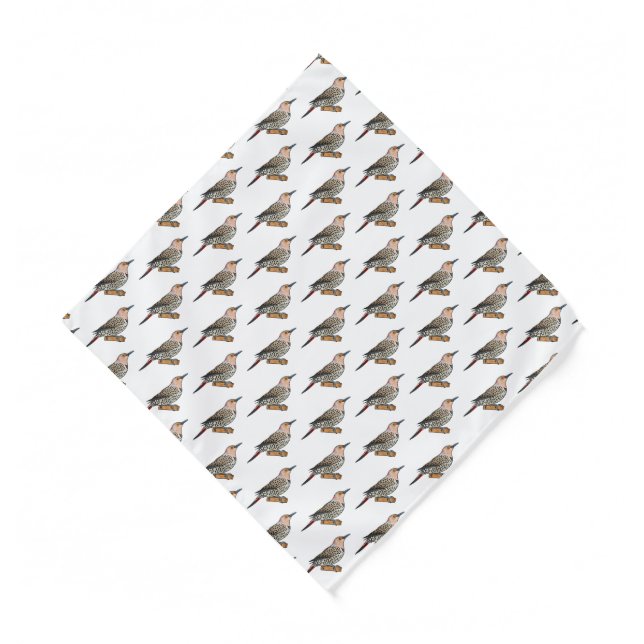 Northern flicker bird cartoon illustration  bandana (Front)