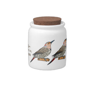 Northern flicker bird cartoon illustration  candy jar