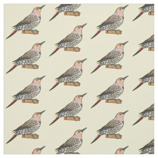 Northern flicker bird cartoon illustration fabric