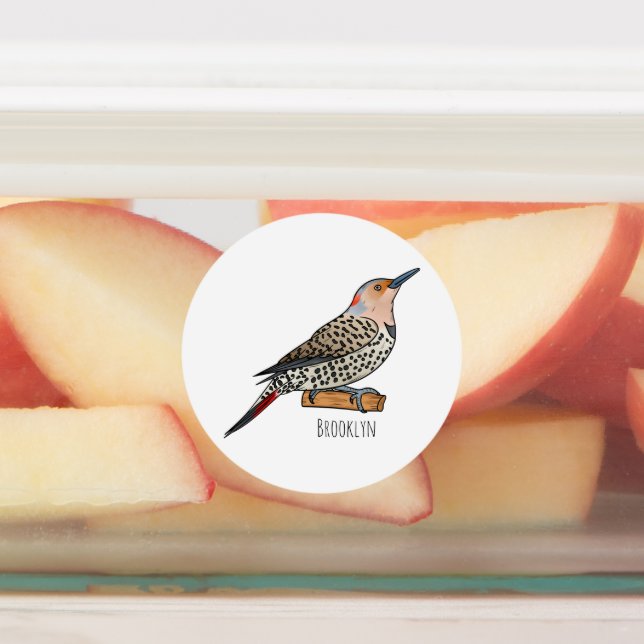 Northern flicker bird cartoon illustration  labels (Affixed)