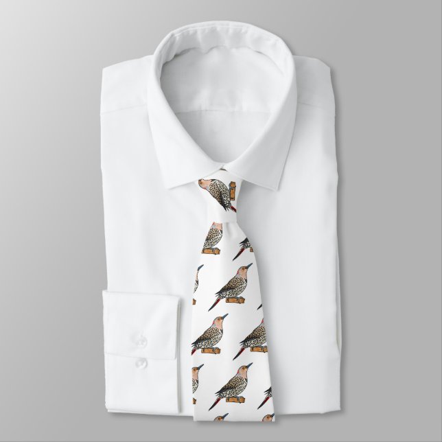 Northern flicker bird cartoon illustration  neck tie (Tied)