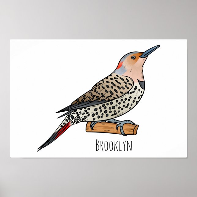 Northern flicker bird cartoon illustration  poster (Front)