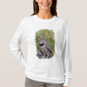 Northern Flicker, Colaptes auratus, Red-shafted T-Shirt