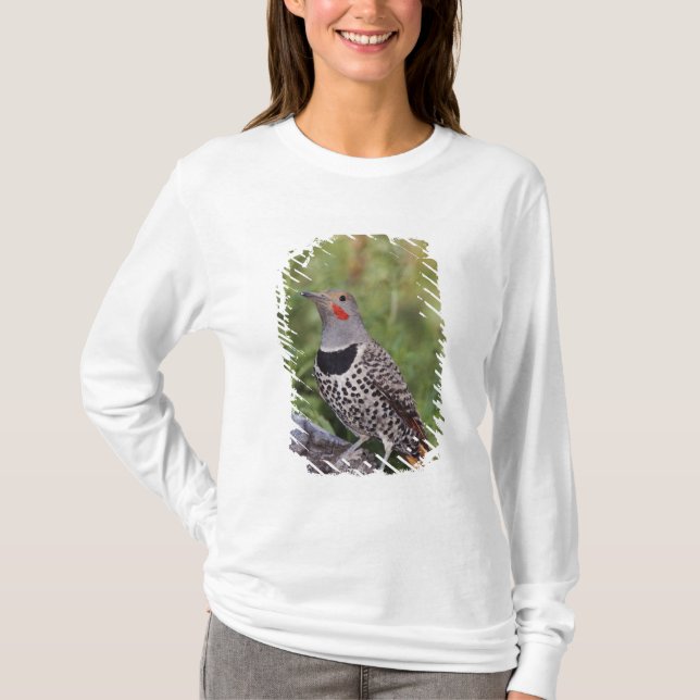 Northern Flicker, Colaptes auratus, Red-shafted T-Shirt (Front)