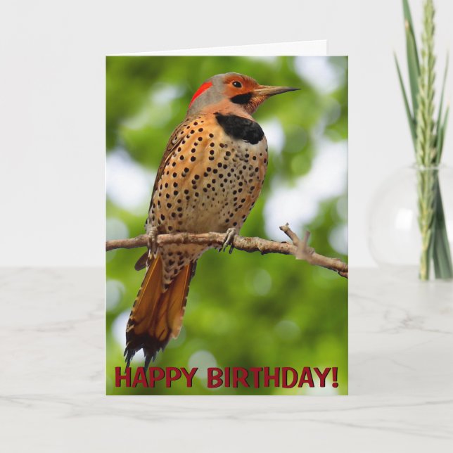 Northern flicker customizable greetings card (Front)