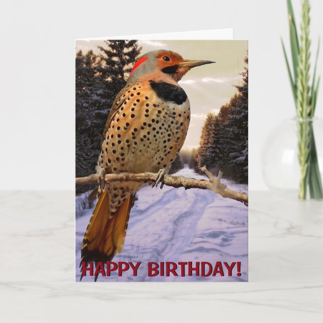 Northern flicker customizable greetings card (Front)