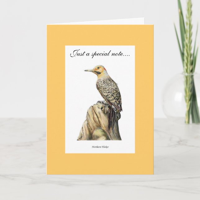 Northern Flicker Letterpress Thank You Card (Front)