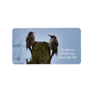 Northern Flicker New Address Label