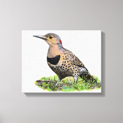 Northern Flicker on the Ground Canvas Print