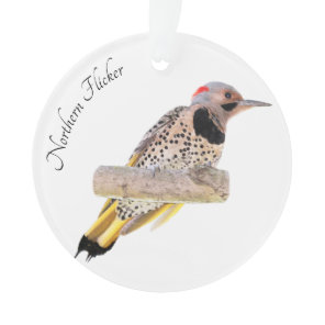 Northern Flicker Ornament