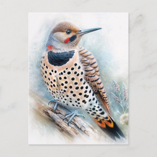 Northern Flicker Watercolor Art Postcard (Front)