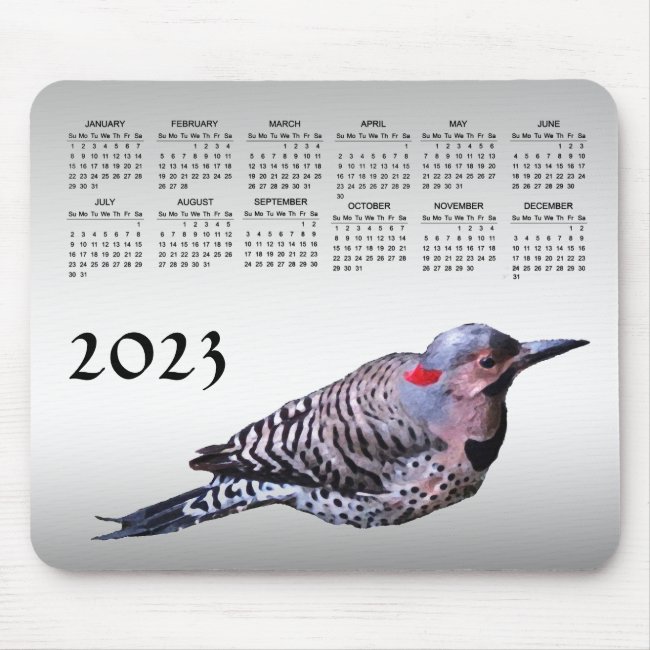 Northern Flicker Woodpecker Bird 2023 Calendar 