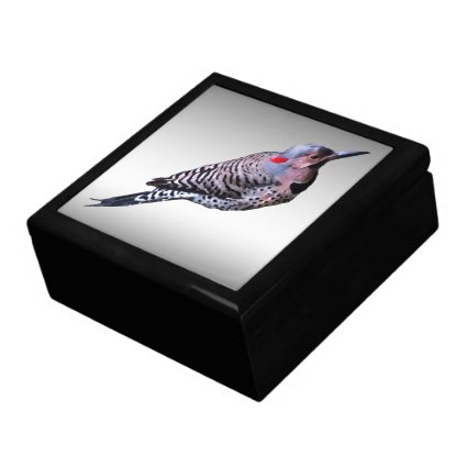 Northern Flicker Woodpecker Bird Gift Box