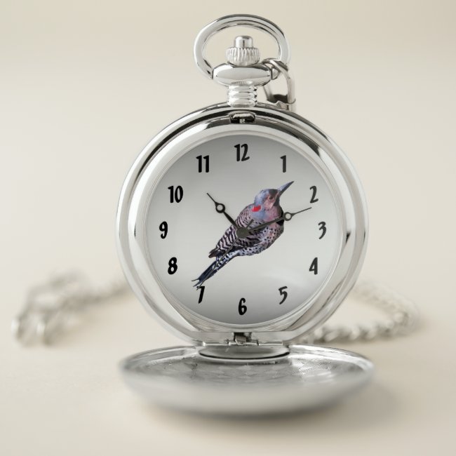 Northern Flicker Woodpecker Bird Pocket Watch