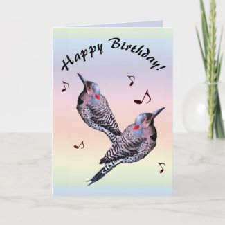 Northern Flicker Woodpecker Birds Birthday Card