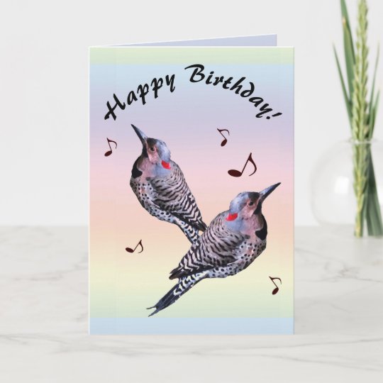 Northern Flicker Woodpecker Birds Birthday Card | Zazzle.com