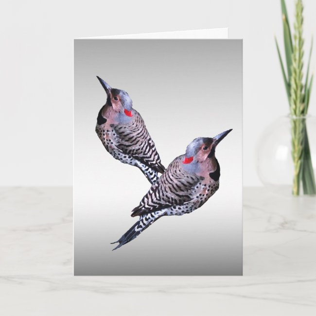 Northern Flicker Woodpecker Birds Blank Card