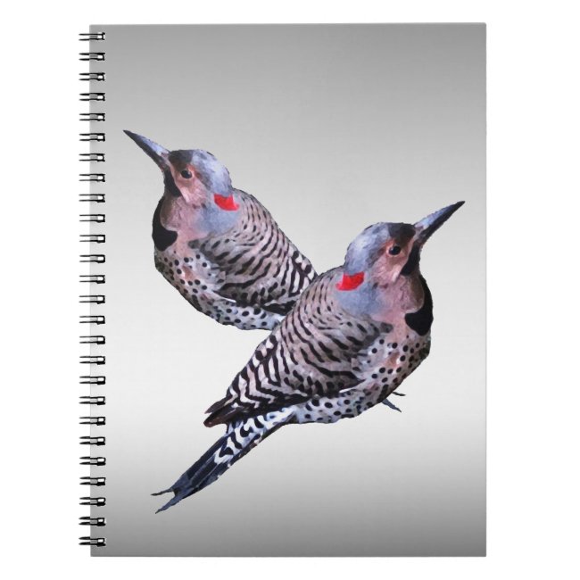 Northern Flicker Woodpecker Birds Notebook