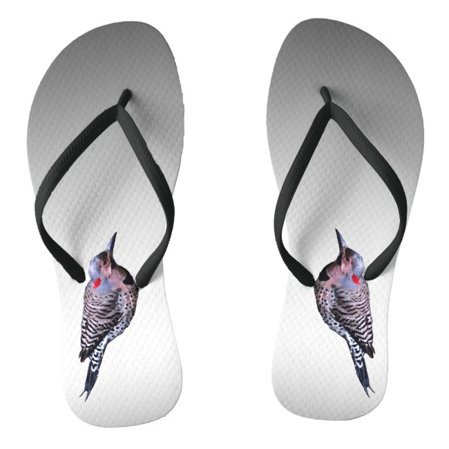 Northern Flicker Woodpecker Flip Flops