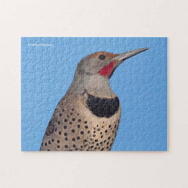 Northern Flicker Woodpecker in the Sun Jigsaw Puzzle (Horizontal)