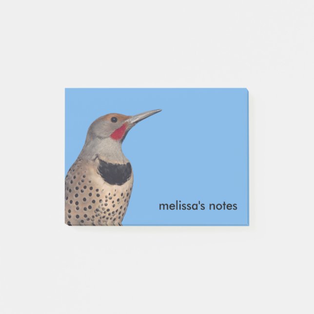 Northern Flicker Woodpecker in the Sun Post-it Notes (Front)