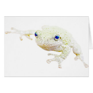 Northern Froggy Cards
