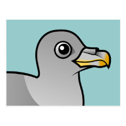 Northern Fulmar (intermediate) Postcard