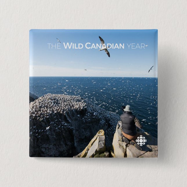 Northern Gannets Pinback Button (Front)