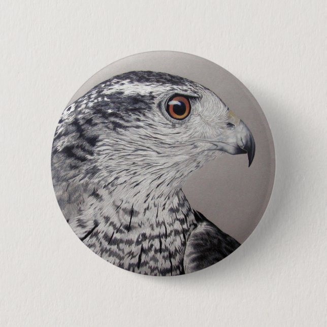 Northern Goshawk Button (Front)