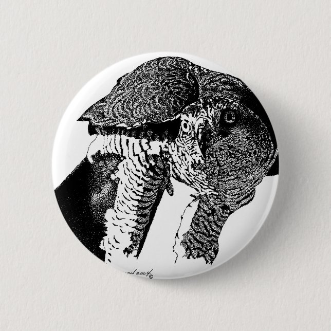 Northern Goshawk Button (Front)