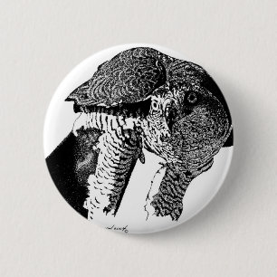Northern Goshawk Button