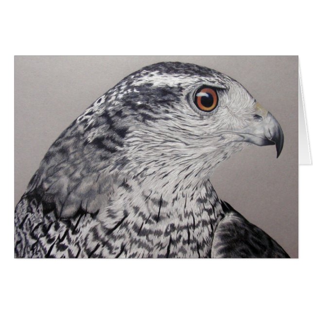 Northern Goshawk Cards (Front Horizontal)