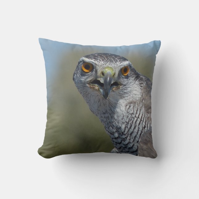 Northern Goshawk Close Up Throw Pillow (Front)