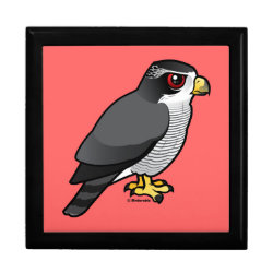 Northern Goshawk Large 7.125