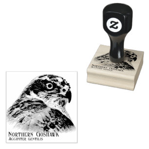 Northern Goshawk Rubber Stamp