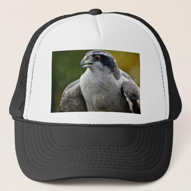 Northern Goshawk Trucker Hat (Front)