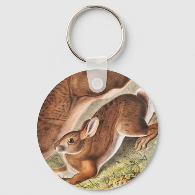 Northern Hare (Lepus Americanus) Illustration Keychain (Front)