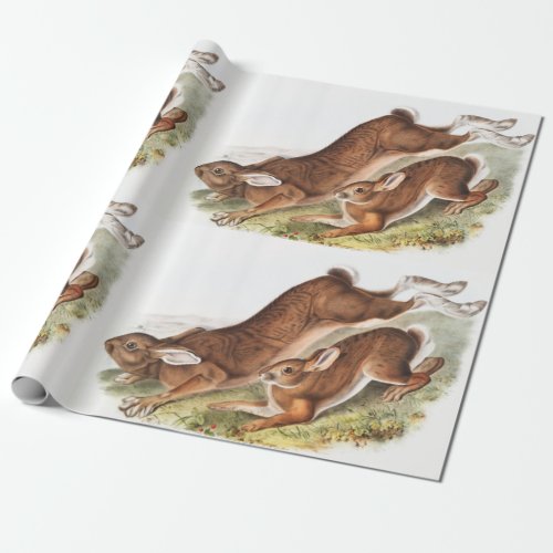 Northern Hare Lepus Americanus Illustration Wrapping Paper