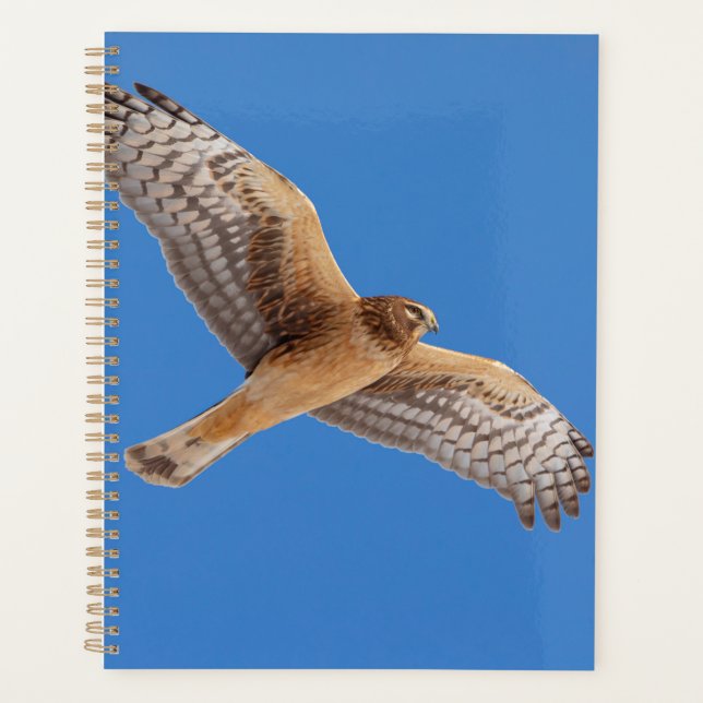 Northern Harrier 2026 Planner | Winter Wildlife (Front)